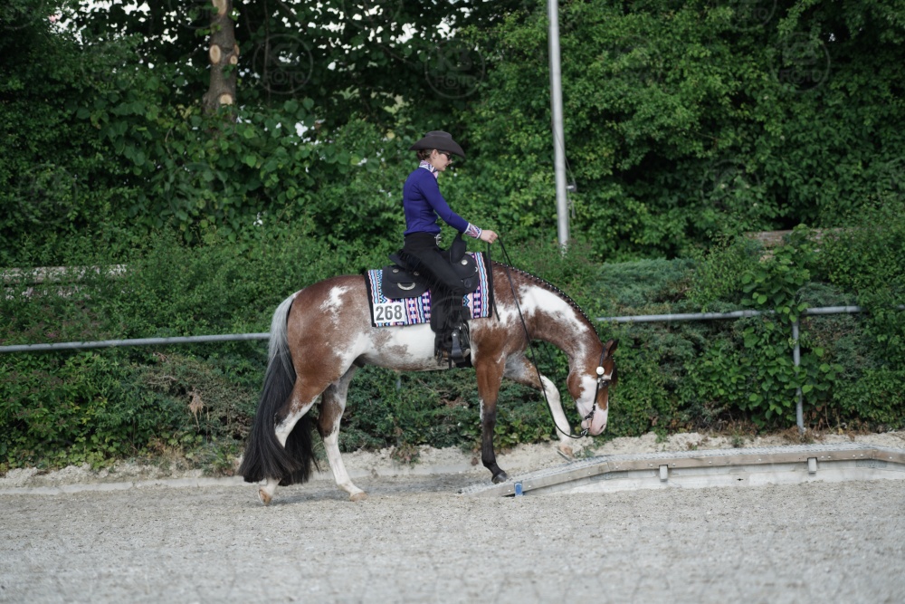 s_APF06641.jpg